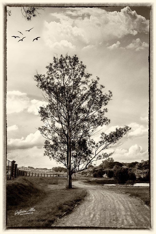 By Jefferson Allan