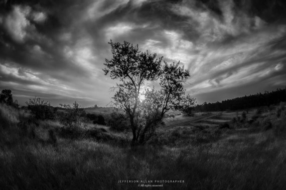 By Jefferson Allan