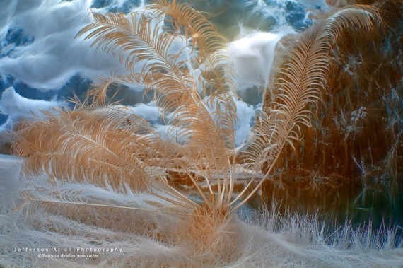 J.Allan6IR